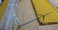 The Importance of Eco-Friendly Waste Management Solutions in Virginia